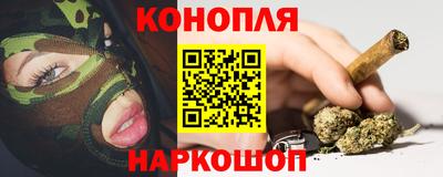 крисы Заводоуковск