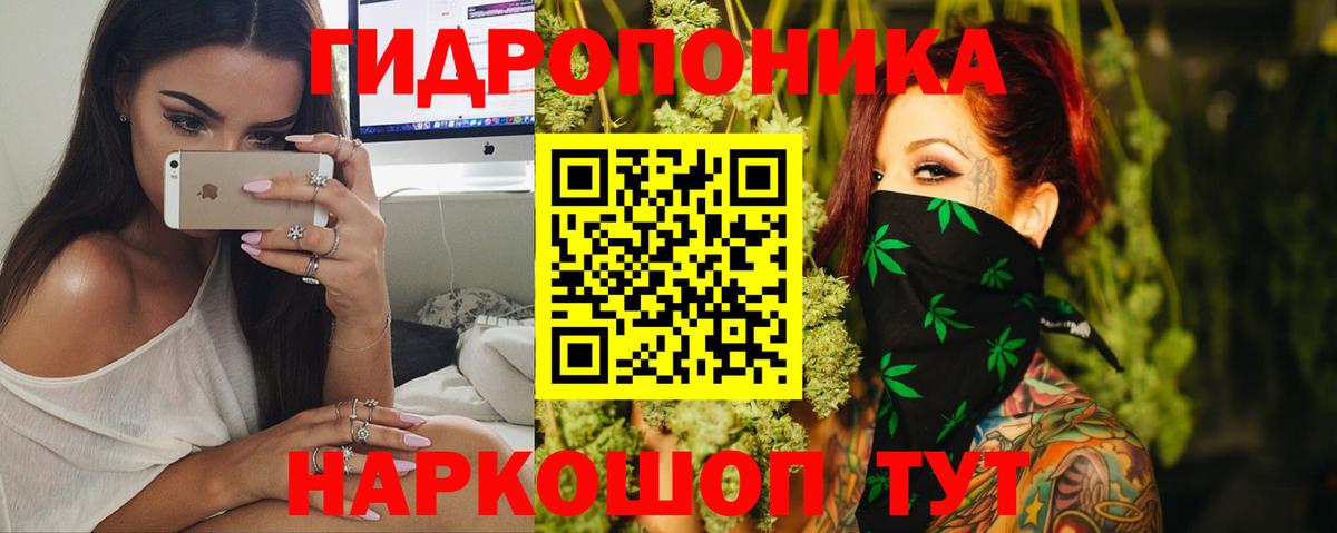 Можга  Шишки марихуана тримм  Вход с VPN  Бошки Шишки гибрид 